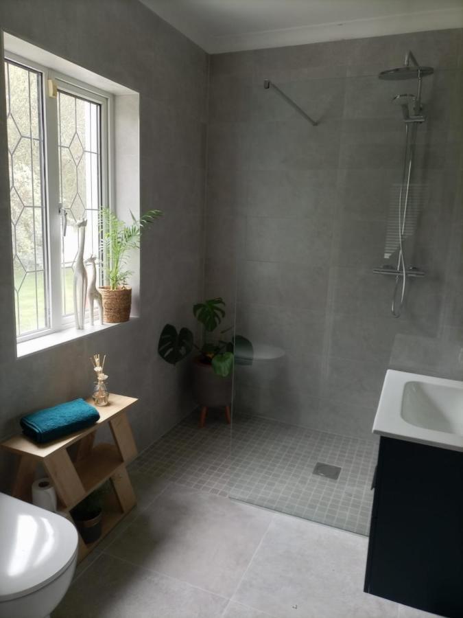 Applelea House Bed & Breakfast Rosslare Harbour ภายนอก รูปภาพ