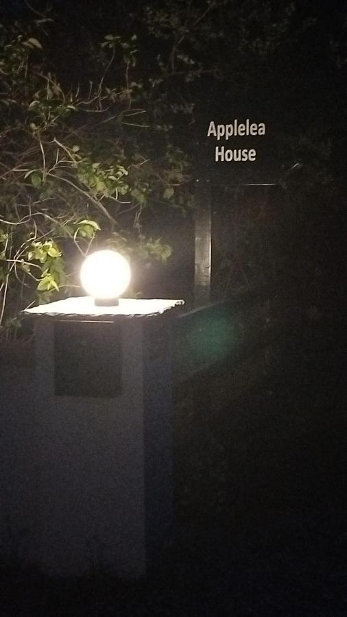 Applelea House Bed & Breakfast Rosslare Harbour ภายนอก รูปภาพ